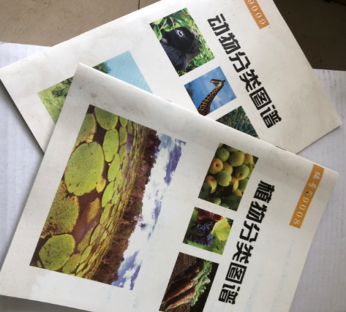 動物、植物分類圖譜